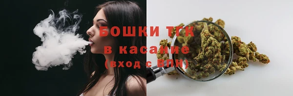 дурь Сосновый Бор
