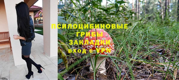 твердый Сосновоборск