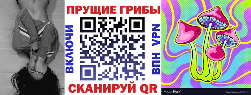 Купить  Чегем  Галлюциногенные грибы прущие грибы 